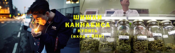 соль ск Пересвет