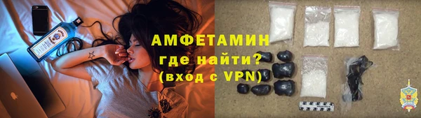 соль ск Пересвет