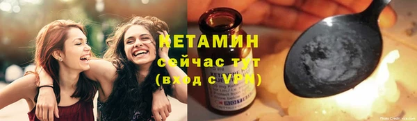 соль ск Пересвет