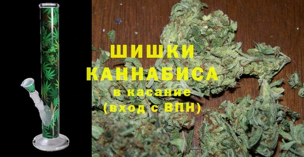 соль ск Пересвет