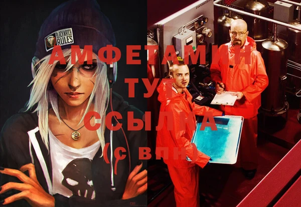 шишки Осташков