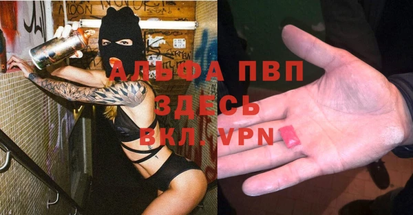 соль ск Пересвет