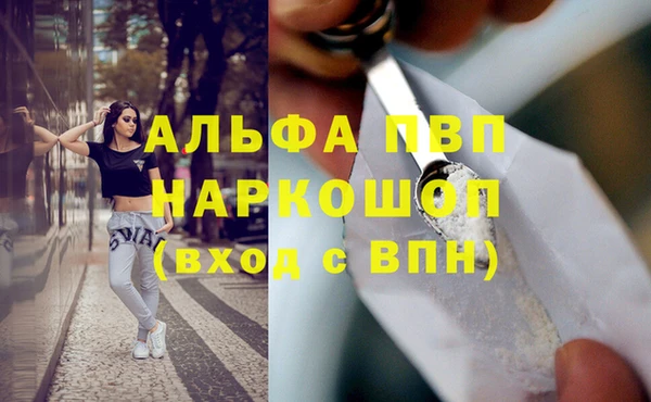 соль ск Пересвет