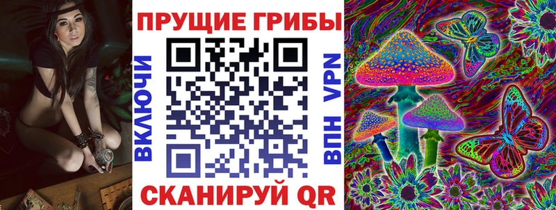 закладка Апшеронск блэк спрут ссылки Галлюциногенные грибы Cubensis