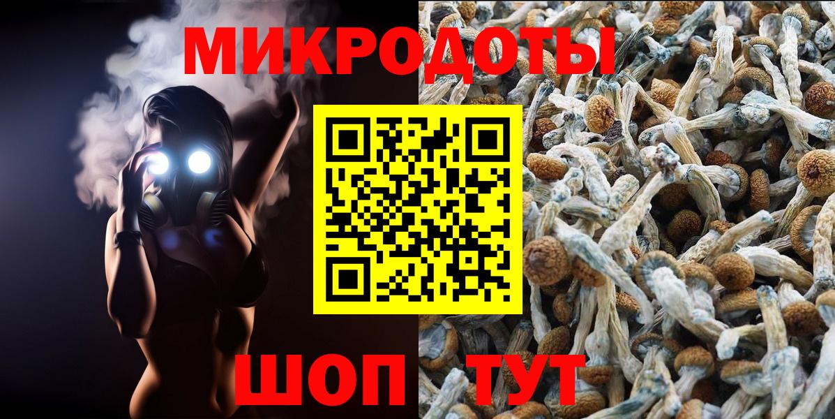 Апшеронск  Галлюциногенные грибы Psilocybe  Вход с VPN 