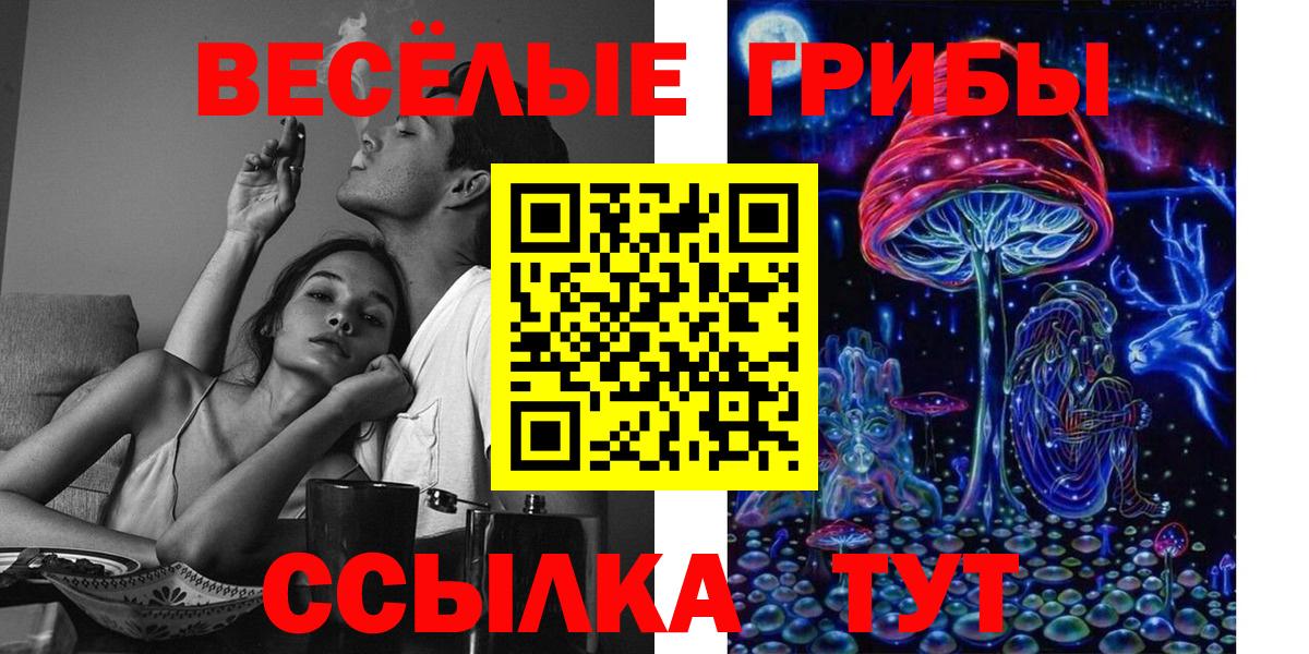 Псилоцибиновые грибы прущие грибы  где купить наркоту  Псилоцибиновые грибы Cubensis  Апшеронск 