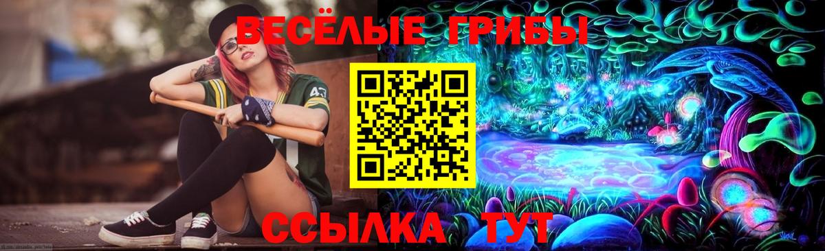 Галлюциногенные грибы мицелий Апшеронск